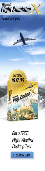 Microsoft Flight Simulator X (DVD)