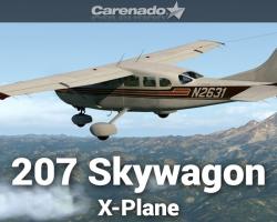 Cessna 207 Skywagon 11