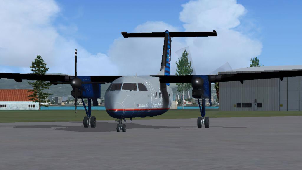 Dash 8 Series for FSX/P3D by Virtualcol FS Software