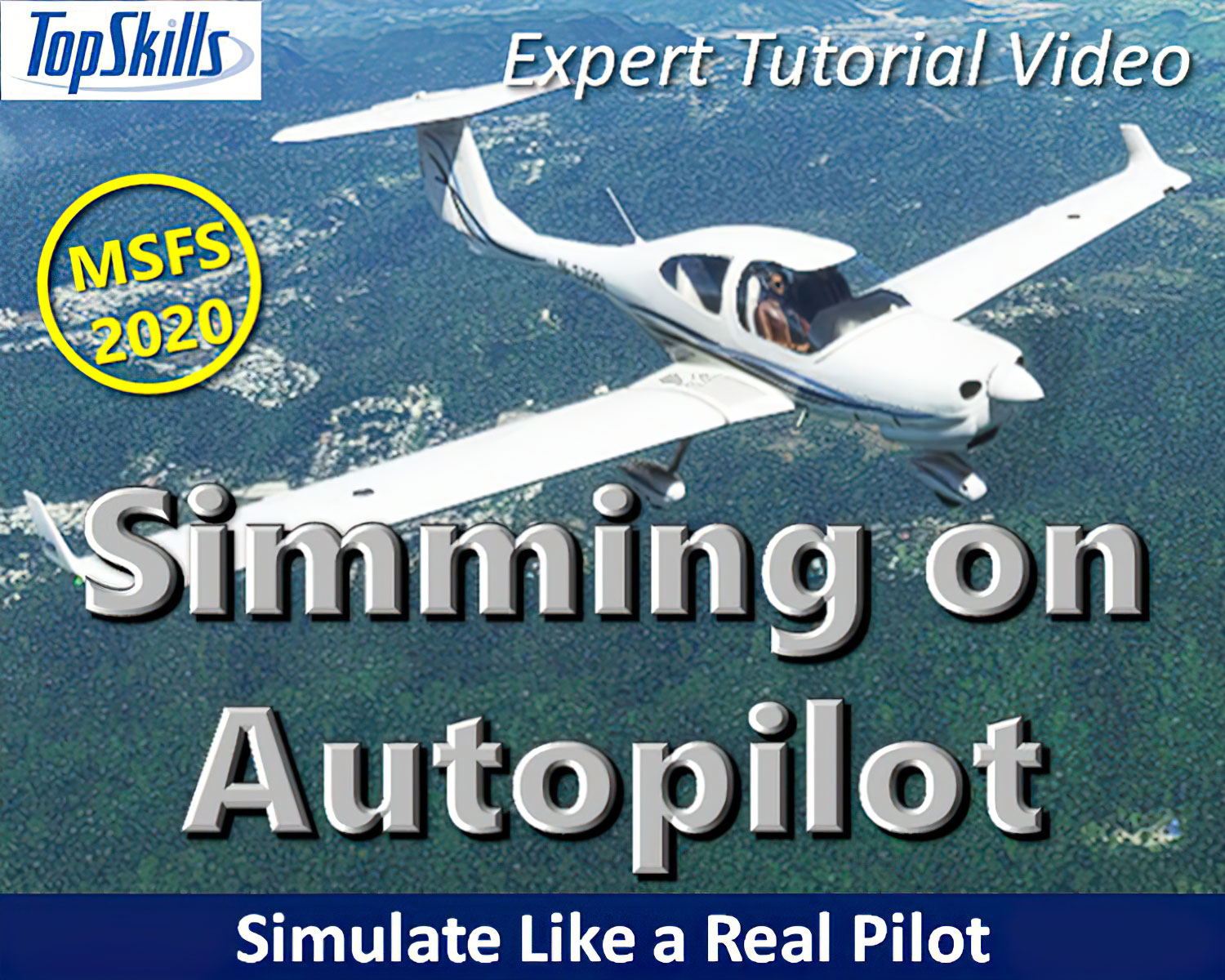 Video: Microsoft Flight Simulator 2020 for pilots : Flight