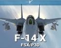 F-14 Extended for FSX/P3D