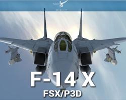 F-14 Extended