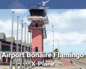 Airport Bonaire Flamingo for X-Plane