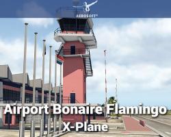 Airport Bonaire Flamingo