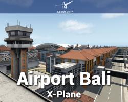Airport Bali 11