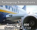 Boeing 737-800 Sound Pack for FSX