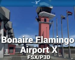 Bonaire Flamingo Airport X Scenery