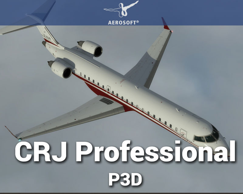 Raas professional p3d v4 download Raas professional p3d v4 download