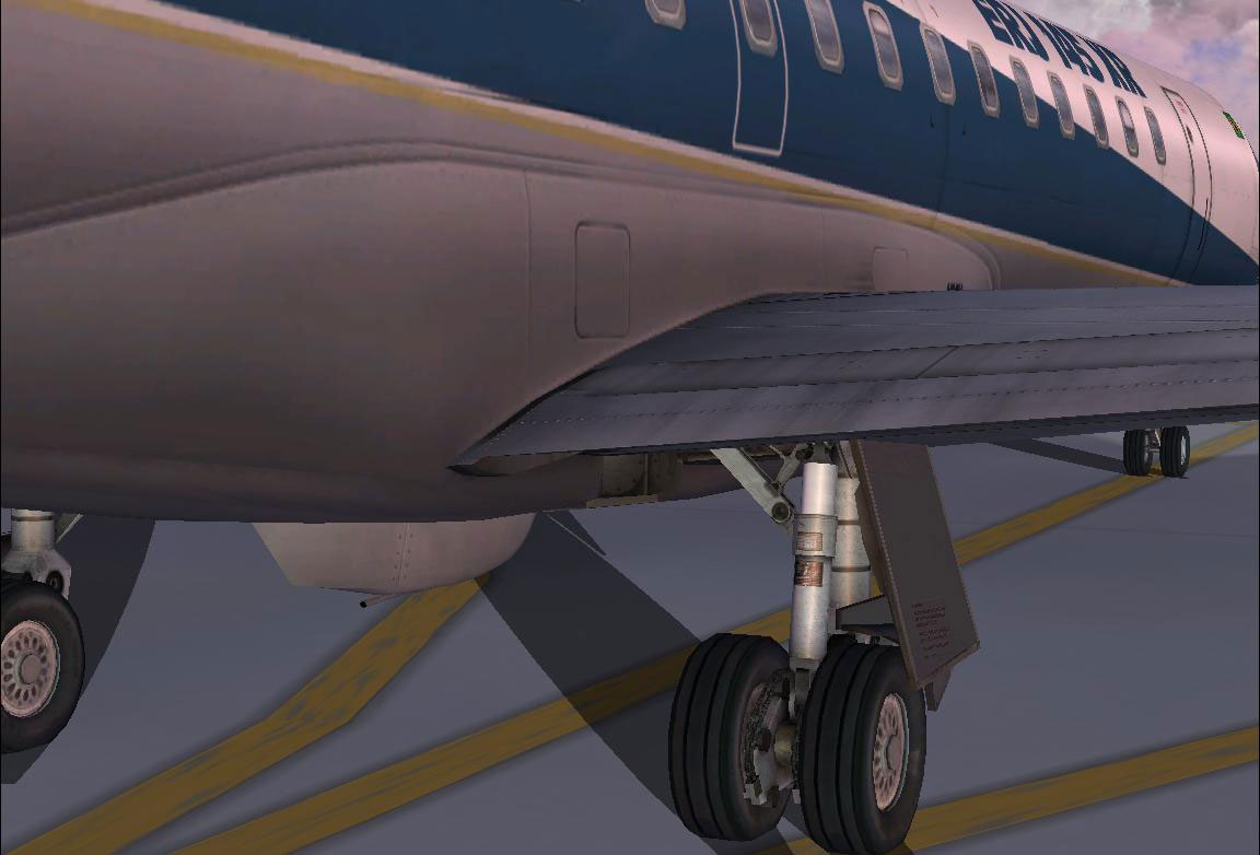 Embraer Regional Jets v2 for FSX & FS2004 by feelthere