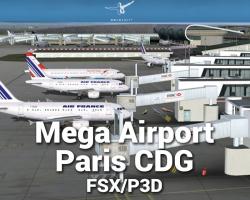 Mega Airport Paris Charles de Gaulle Scenery