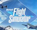 Microsoft Flight Simulator