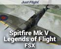 Spitfire Mk V Legends of Flight for FSX