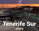 Tenerife Sur Reina Sofía Airport (GCTS) Scenery for MSFS