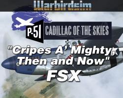 "Cripes A' Mighty, Then and Now": The P-51D Mustang Cadillac of the Skies Series